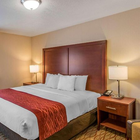 Comfort Inn Mount Shasta Area Weed Bagian luar foto